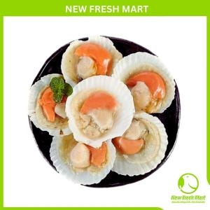 Sò Điệp Nhật Nửa Mảnh Size Nhỏ Sò Điệp Nhật Nửa Mảnh Size Nhỏ