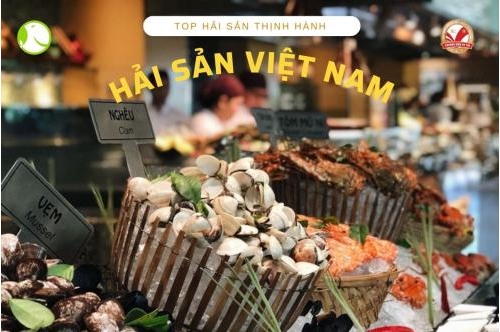 Top 7 Loại Hải Sản Việt Nam Được Ưa Chuộng Hiện Nay Top 7 Loại Hải Sản Việt Nam Được Ưa Chuộng Hiện Nay