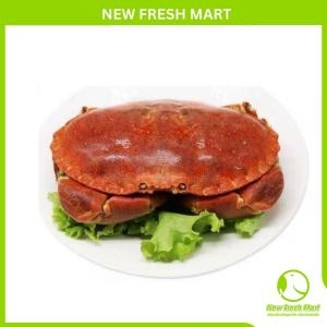 Cua Nâu Nauy Đông Lạnh Size Lớn Cua Nâu Nauy Đông Lạnh Size Lớn