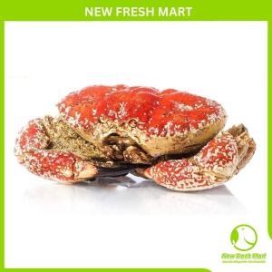 Cua Tasmania Sống - Cua Khồng Lồ Nam Úc Cua Tasmania Sống - Cua Khồng Lồ Nam Úc