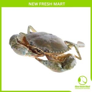 Cua Thịt Cà Mau Sống Cua Thịt Cà Mau Sống