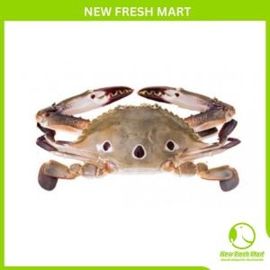 Ghẹ Xanh Đông Lạnh Nguyên Con Ghẹ Xanh Đông Lạnh Nguyên Con