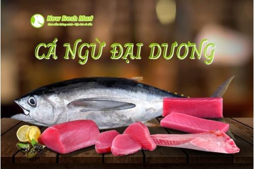 Tổng Hợp Các Quy Cách Từ Cá Ngừ Đại Dương Tại New Fresh Food Tổng Hợp Các Quy Cách Từ Cá Ngừ Đại Dương Tại New Fresh Food