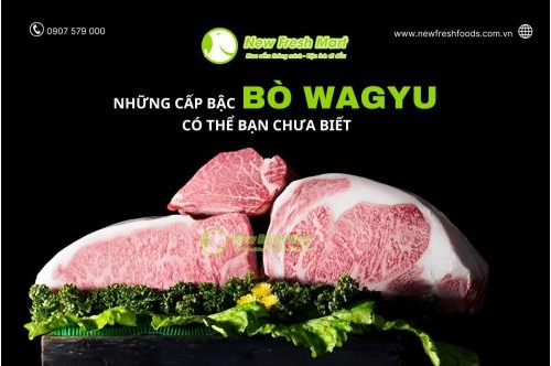 Những Cấp Bậc Bò Wagyu Có Thể Bạn Chưa Biết! Những Cấp Bậc Bò Wagyu Có Thể Bạn Chưa Biết!