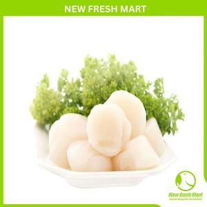 Cồi Sò Điệp Mỹ Size Lớn Cồi Sò Điệp Mỹ Size Lớn