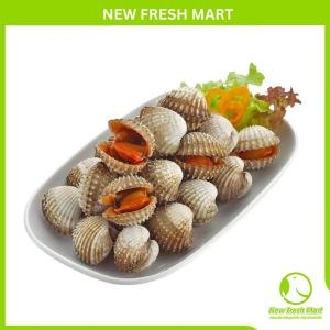 Sò Huyết Nữa Mảnh Sò Huyết Nữa Mảnh
