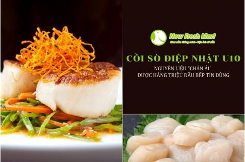 Cồi Sò Điệp Nhật U10 - Nguyên Liệu  Cồi Sò Điệp Nhật U10 - Nguyên Liệu