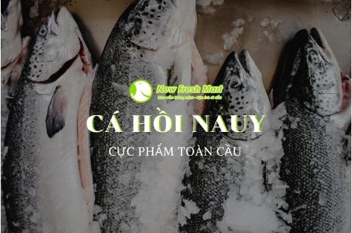 Cực Phẩm Toàn Cầu - Cá Hồi Nauy Được Yêu Thích Nhất Tại New Fresh Foods Cực Phẩm Toàn Cầu - Cá Hồi Nauy Được Yêu Thích Nhất Tại New Fresh Foods