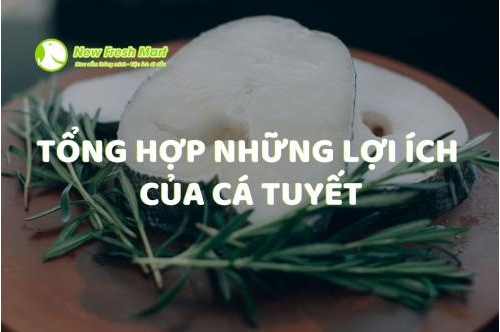 Tổng Hợp Những Lợi Ích Của Cá Tuyết Tổng Hợp Những Lợi Ích Của Cá Tuyết