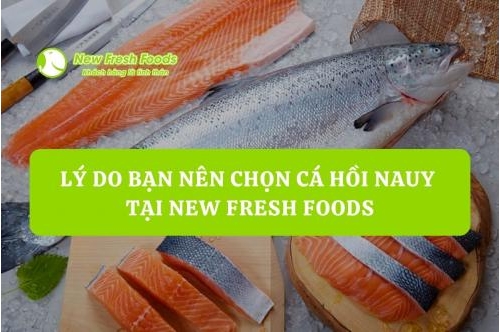 Lý Do Bạn Nên Chọn Cá Hồi Nauy Tại New Fresh Foods Lý Do Bạn Nên Chọn Cá Hồi Nauy Tại New Fresh Foods