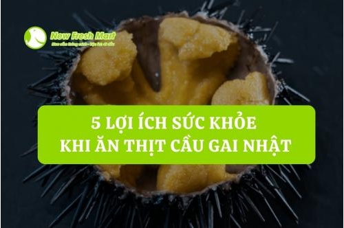 5 Lợi Ích Sức Khỏe Khi Ăn Thịt Cầu Gai Nhật 5 Lợi Ích Sức Khỏe Khi Ăn Thịt Cầu Gai Nhật