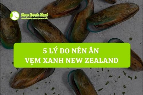 5 Lý Do Nên Ăn Vẹm Xanh New Zealand 5 Lý Do Nên Ăn Vẹm Xanh New Zealand