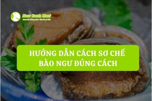 Hướng Dẫn Cách Sơ Chế Bào Ngư Đúng Cách Hướng Dẫn Cách Sơ Chế Bào Ngư Đúng Cách