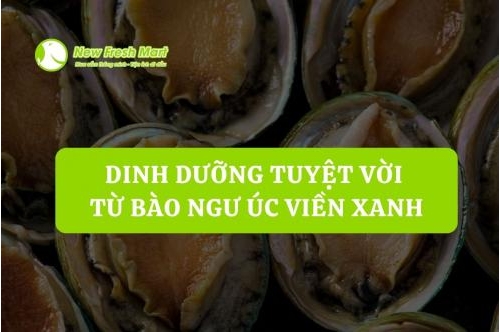 Dinh Dưỡng Tuyệt Vời Từ Bào Ngư Úc Viền Xanh