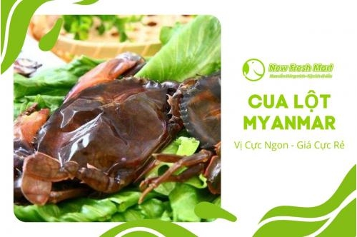 Cua Lột Myanmar - Vị Cực Ngon, Giá Cực Mê Cua Lột Myanmar - Vị Cực Ngon, Giá Cực Mê