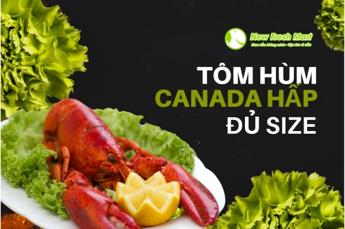 Tôm Hùm Canada Đủ Size Cho Khách Hàng Tôm Hùm Canada Đủ Size Cho Khách Hàng