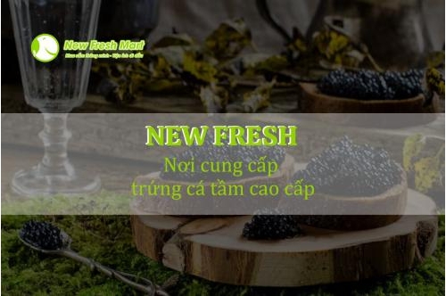 Địa Chỉ Mua Trứng Cá Tầm Cao Cấp Uy Tín Tại Việt Nam Địa Chỉ Mua Trứng Cá Tầm Cao Cấp Uy Tín Tại Việt Nam