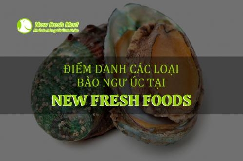 Tổng Hợp Các Loại Bào Ngư Úc Tại New Fresh Foods Tổng Hợp Các Loại Bào Ngư Úc Tại New Fresh Foods