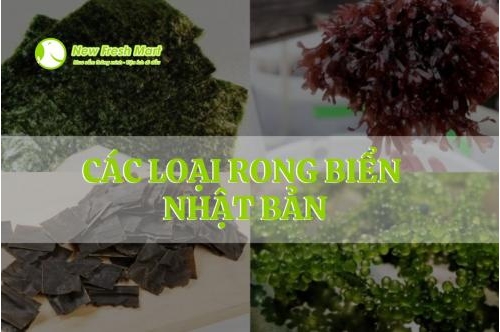Các Loại Rong Biển Nhật Bản Các Loại Rong Biển Nhật Bản