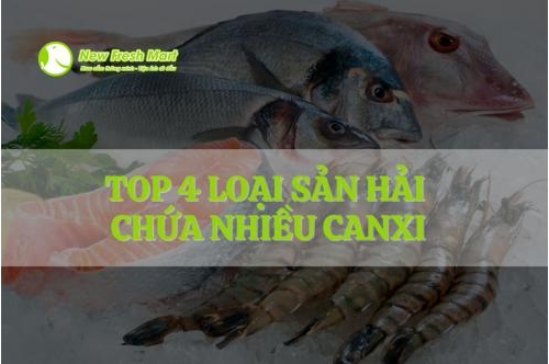 Top 4  Loại Sản Hải Chứa Nhiều Canxi Top 4  Loại Sản Hải Chứa Nhiều Canxi