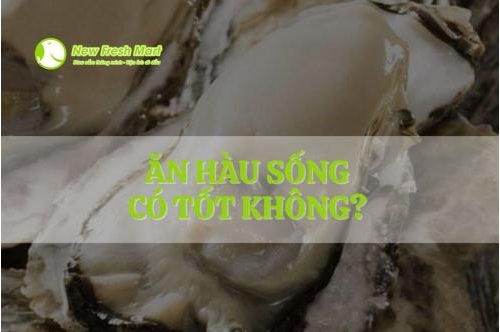 Ăn Hàu Sống Có Tốt Không?  Ăn Hàu Sống Có Tốt Không?