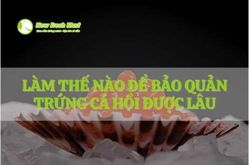 Làm Thế Nào Để Bảo Quản Trứng Cá Hồi Được Lâu Làm Thế Nào Để Bảo Quản Trứng Cá Hồi Được Lâu