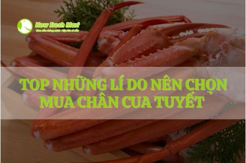 Top Những Lí Do Nên Chọn Mua Chân Cua Tuyết Tại New Fresh Top Những Lí Do Nên Chọn Mua Chân Cua Tuyết Tại New Fresh