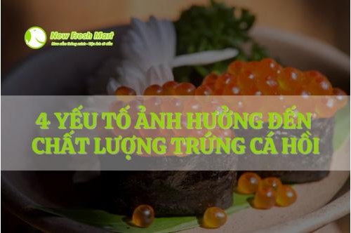4 Yếu Tố Ảnh Hưởng Đến Chất Lượng Bảo Quản Trứng Cá Hồi 4 Yếu Tố Ảnh Hưởng Đến Chất Lượng Bảo Quản Trứng Cá Hồi