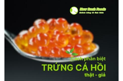 Mách Bạn Cách Phân Biệt Trứng Cá Hồi Thật - Giả Mách Bạn Cách Phân Biệt Trứng Cá Hồi Thật - Giả