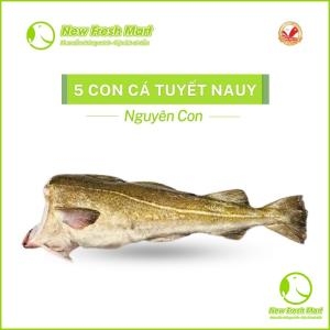 Combo 5 Con Cá Tuyết Nauy
