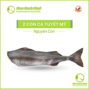 Combo 2 Con Cá Tuyết Mỹ Alaska