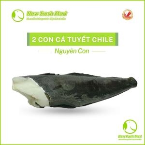 Combo 2 Con Cá Tuyết Chile
