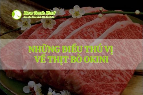 Những Điều Thú Vị Về Thịt Bò Okini Những Điều Thú Vị Về Thịt Bò Okini