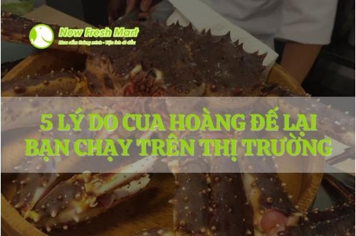 5 Lý Do Cua Hoàng Đế Bán Chạy Trên Thị Trường 5 Lý Do Cua Hoàng Đế Bán Chạy Trên Thị Trường