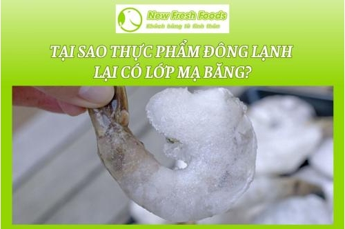 Tại Sao Thực Phẩm Đông Lạnh Lại Có Lớp Mạ Băng? Tại Sao Thực Phẩm Đông Lạnh Lại Có Lớp Mạ Băng?