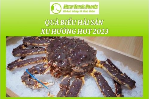 Quà Biếu Hải Sản - Xu Hướng Hot 2023 Quà Biếu Hải Sản - Xu Hướng Hot 2023