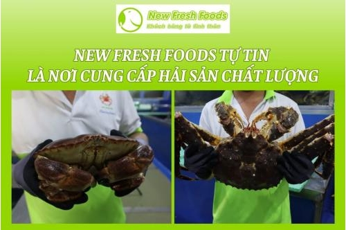 Tại Sao New Fresh Foods Tự Tin Là Nơi Cung Cấp Hải Sản Chất Lượng Tại Sao New Fresh Foods Tự Tin Là Nơi Cung Cấp Hải Sản Chất Lượng