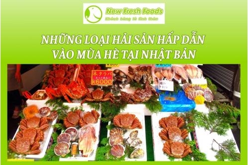 Những Loại Hải Sản Hấp Dẫn Vào Mùa Hè Tại Nhật Bản Những Loại Hải Sản Hấp Dẫn Vào Mùa Hè Tại Nhật Bản
