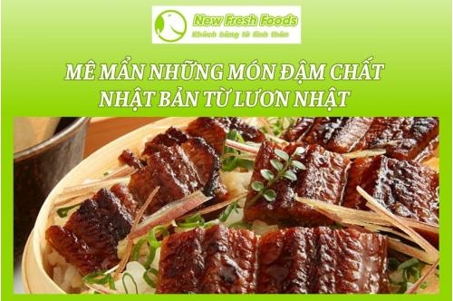 Mê Mẩn Những Món Đậm Chất Nhật Bản Từ Lươn Nhật Bản Mê Mẩn Những Món Đậm Chất Nhật Bản Từ Lươn Nhật Bản