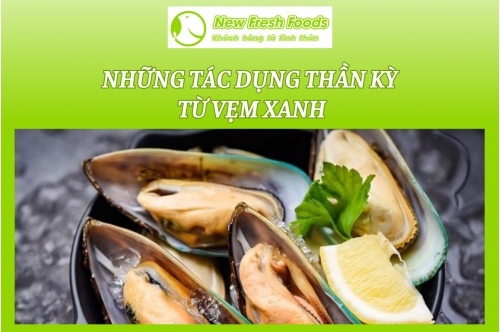 Những Tác Dụng Thần Kỳ Từ Vẹm Xanh Những Tác Dụng Thần Kỳ Từ Vẹm Xanh