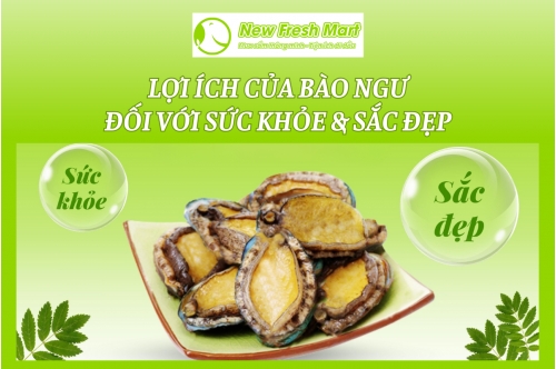 Lợi Ích Của Bào Ngư Đối Với Sức Khỏe & Sắc Đẹp Lợi Ích Của Bào Ngư Đối Với Sức Khỏe & Sắc Đẹp