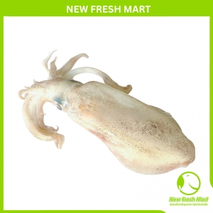 Mực Lá Nguyên Con Đặc Biệt