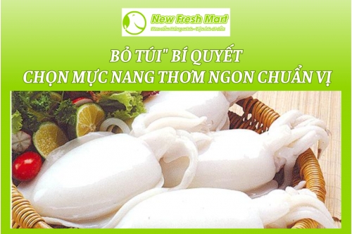 Bỏ Túi Bỏ Túi