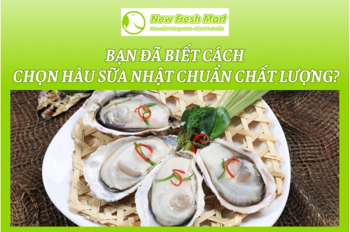 Bạn Đã Biết Cách Chọn Hàu Sữa Nhật Chuẩn Chất Lượng? Bạn Đã Biết Cách Chọn Hàu Sữa Nhật Chuẩn Chất Lượng?