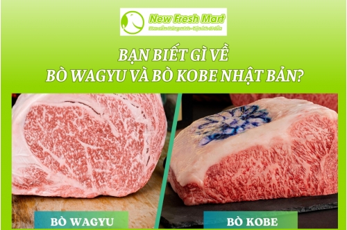 Bạn Biết Gì Về Bò Wagyu Và Bò Kobe Nhật Bản? Bạn Biết Gì Về Bò Wagyu Và Bò Kobe Nhật Bản?