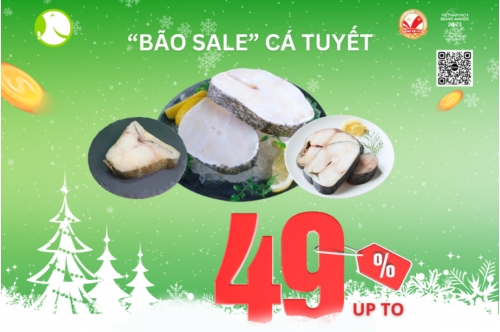 Đón Bão Tuyết - Siêu Sale Cá Tuyết