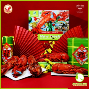Set Quà Tôm Hùm Canada Hấp 5 Con Set Quà Tôm Hùm Canada Hấp 5 Con