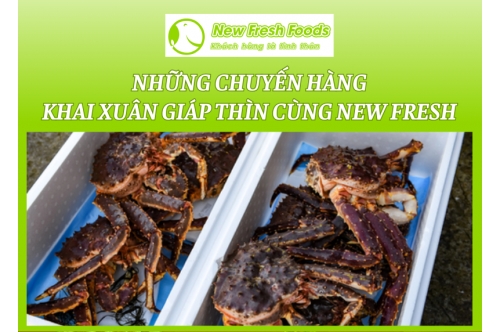 Những Chuyến Hàng Khai Xuân Giáp Thìn Cùng New Fresh Những Chuyến Hàng Khai Xuân Giáp Thìn Cùng New Fresh