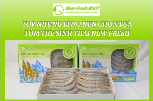 Top Những Lí Do Nên Chọn Lựa Tôm Thẻ Sinh Thái New Fresh Top Những Lí Do Nên Chọn Lựa Tôm Thẻ Sinh Thái New Fresh