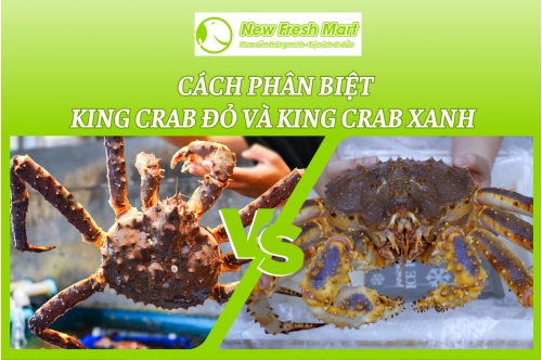 Cua Hoàng Đế - King Crab - Cách Phân Biệt King Crab Đỏ Và King Crab Xanh Cua Hoàng Đế - King Crab - Cách Phân Biệt King Crab Đỏ Và King Crab Xanh